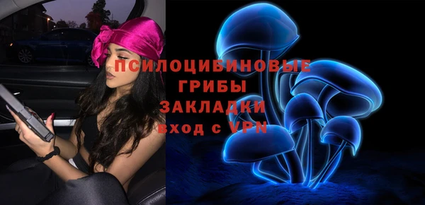 дживик Балахна