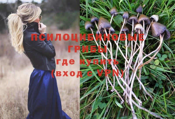 ГАЛЛЮЦИНОГЕННЫЕ ГРИБЫ Семёнов