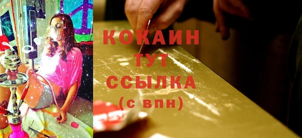 дживик Балахна