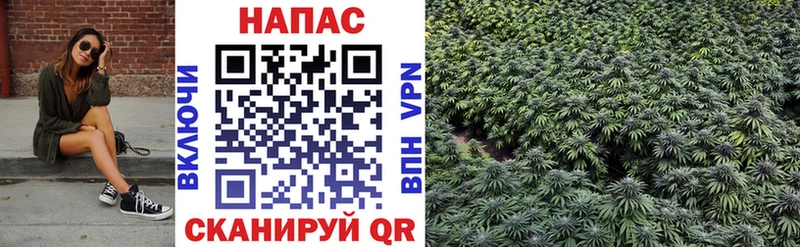 Бошки Шишки Bruce Banner  MEGA как зайти  Сибай 